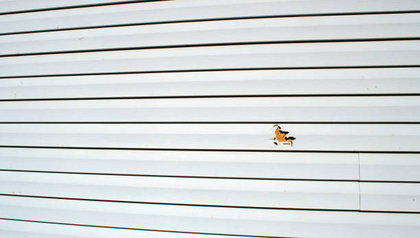 Best James Hardie Siding  in Southaven, MS