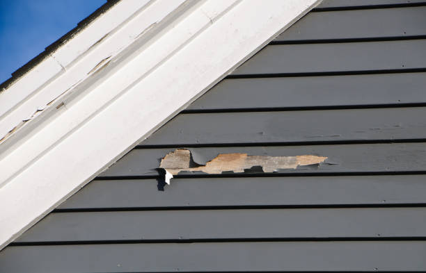 Best Steel Siding Installation  in Southaven, MS